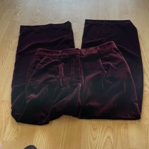NWT Loft velour wide pants.  Size 12. 31 inches.